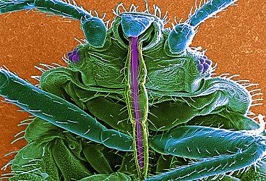 传《星球大战绝地：幸存者》将在2023年3月发售